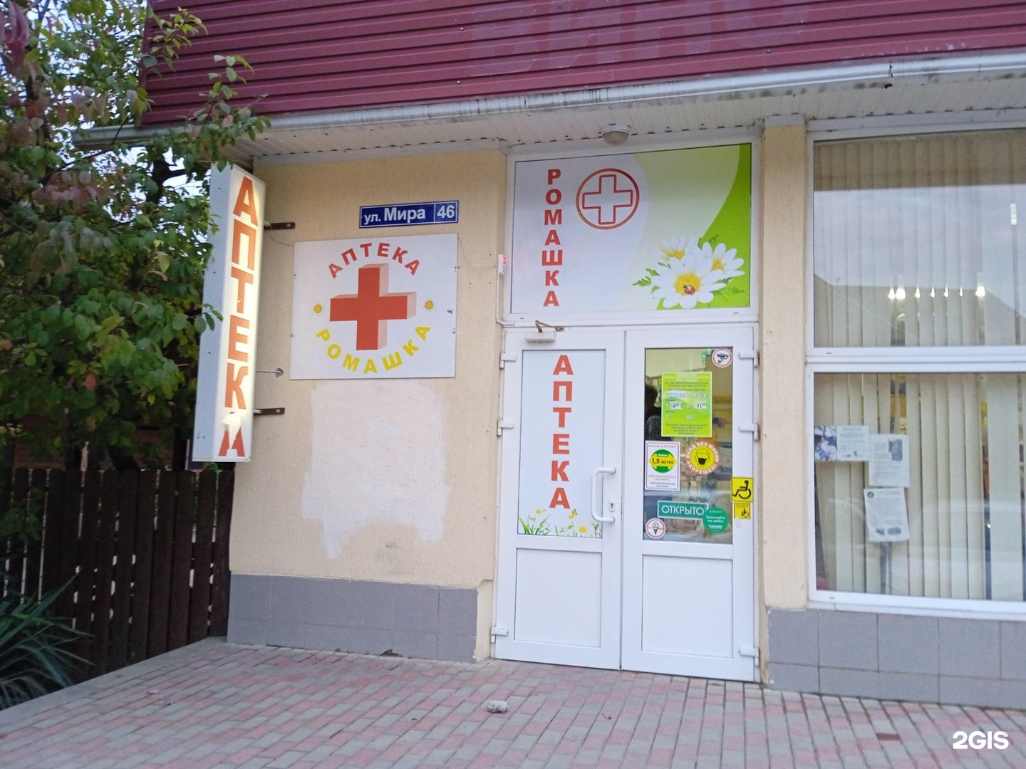 Аптека Ромашка В Севастополе Адрес