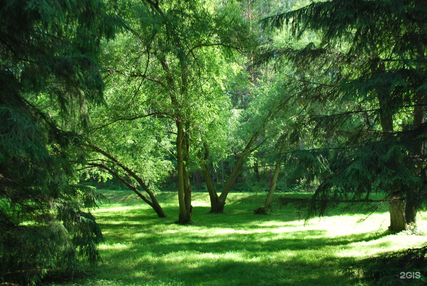 парк в академгородке