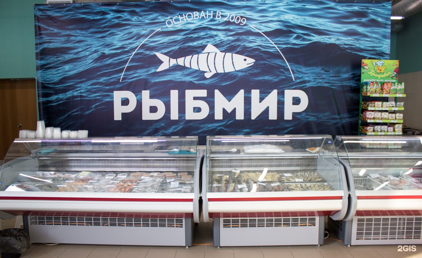 Где Купить Рыбок Новосибирск
