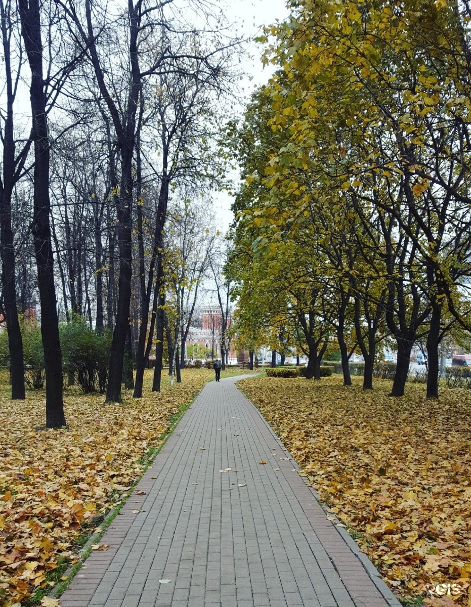 Индивидуалки Петровский Парк
