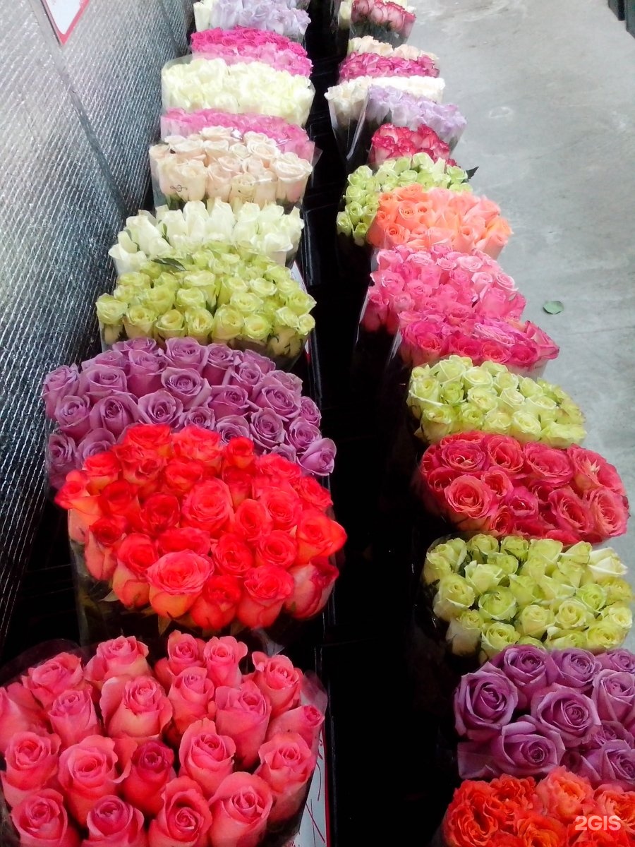 Где Можно Купить Цветы Розы Недорого