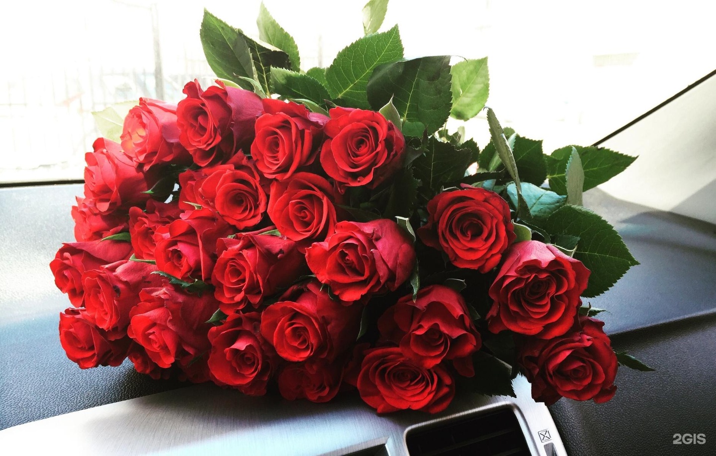 Жарден Цветы Екатеринбург Адреса Магазинов — Mnogoblock.ru