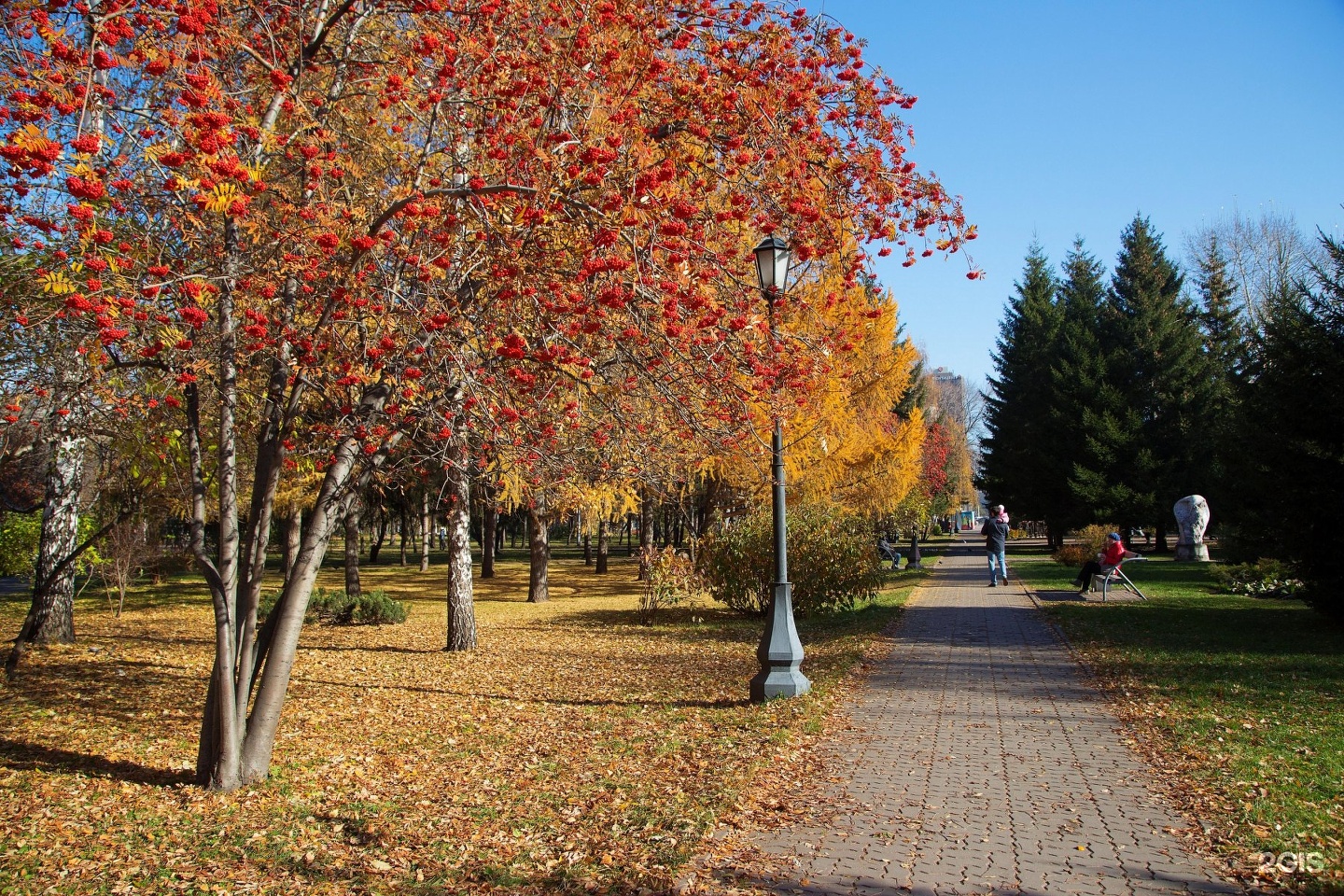 новосибирск осенью фото