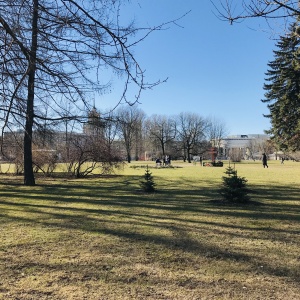 Фото от владельца Московский парк Победы