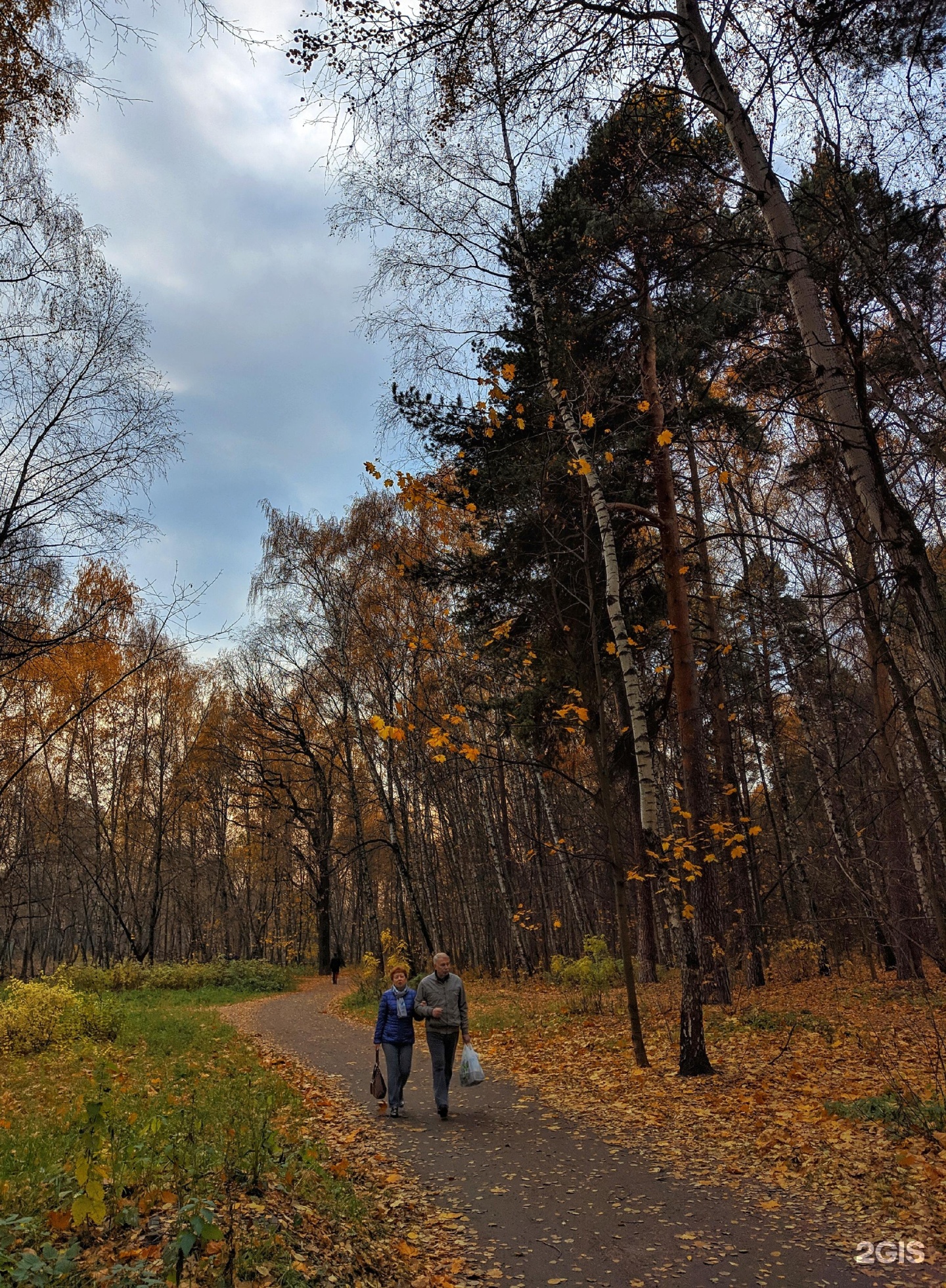 Стрешнево 2. Парк Покровское-Стрешнево. Природно-исторический парк Покровское-Стрешнево. Парк Стрешнево Войковская. Заповедник «Покровское-Стрешнево» лето.