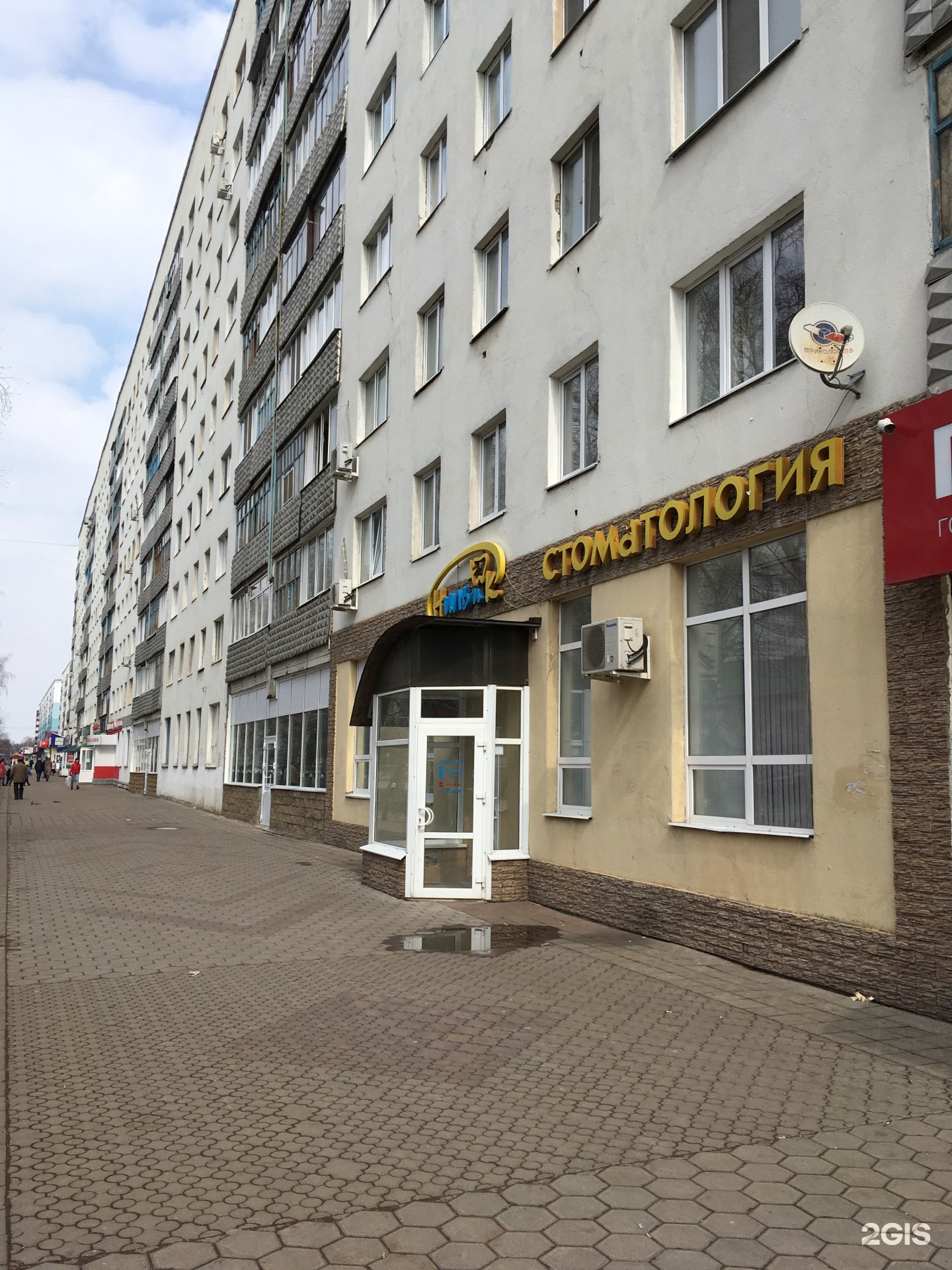 Номедис: найдено 69 изображений