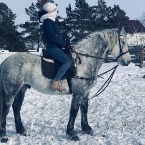 Фото от владельца Мустанг, конно-спортивный клуб