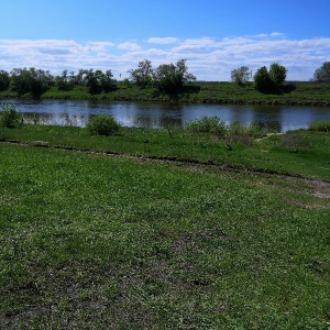 Фото от владельца Донской лес, загородный отель-клуб