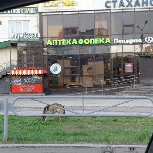 Фото от владельца Планета здоровья, аптеки