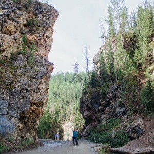 Фото от владельца Алтай маршрут, компания по организации экскурсионных туров