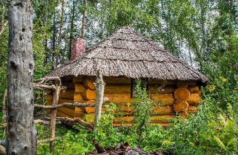 Алтайский район: Турбаза Этнопарк Зелёный остров