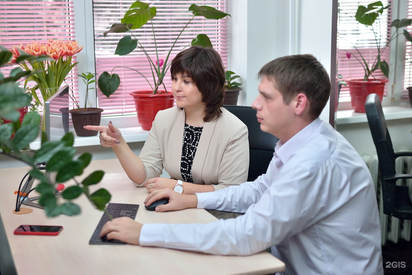 Ооо моя студия. Ленинский димитровград. Экспресс лаб лысьвамедлабэкмпресс. Expresslab. Экспресс лаб.