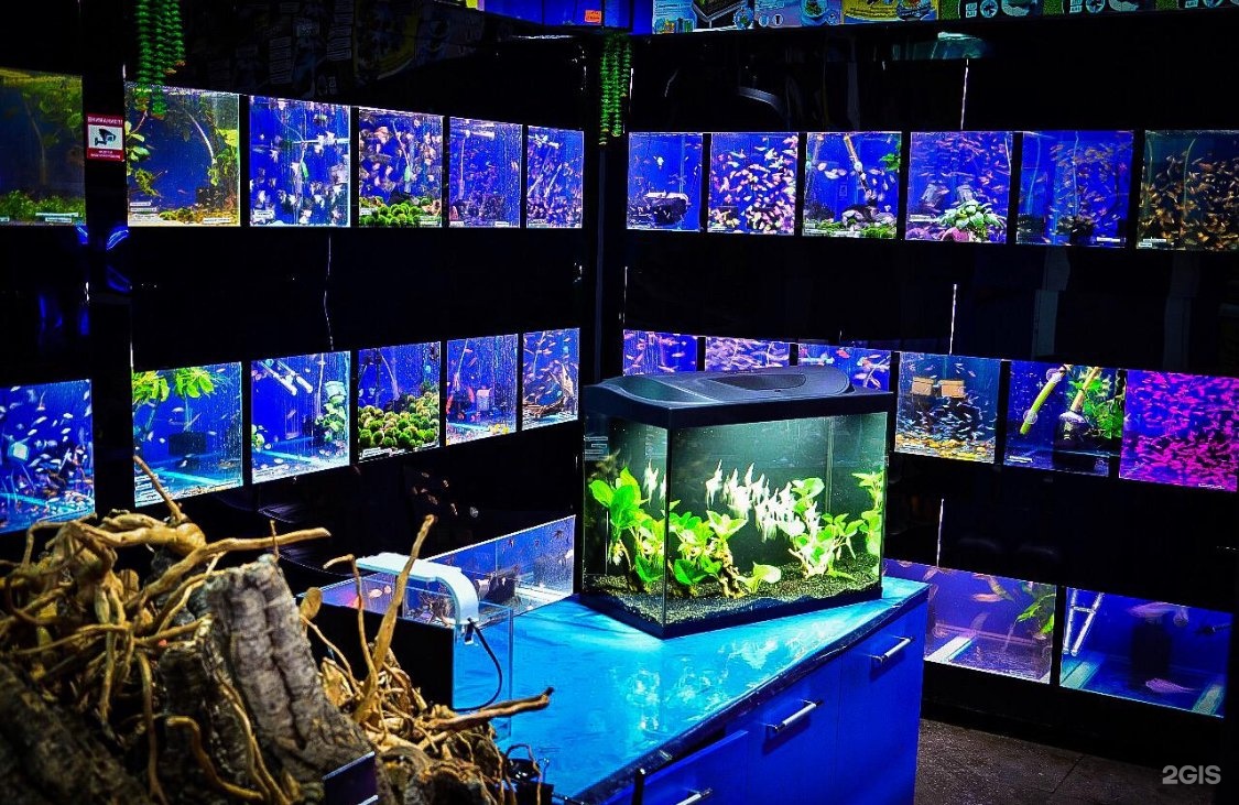 Живой уголок аквариум