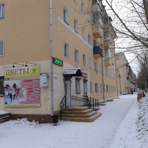 Фото от владельца Тюльпан, магазин цветов и семян