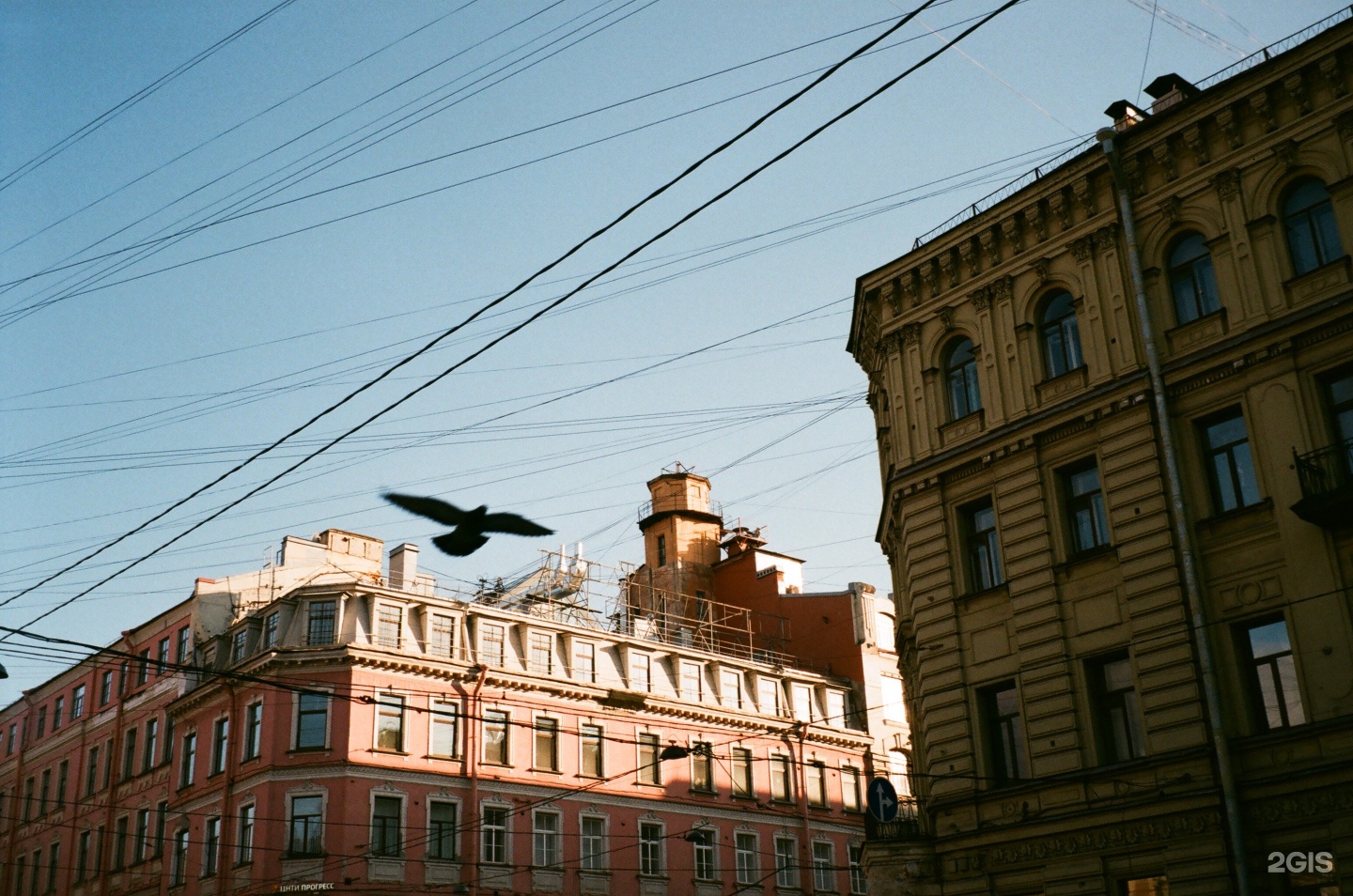 Сорока санкт петербург. Санкт-Петербург, средний пр. во, д. 51. Средний проспект 85. Средний проспект 36.