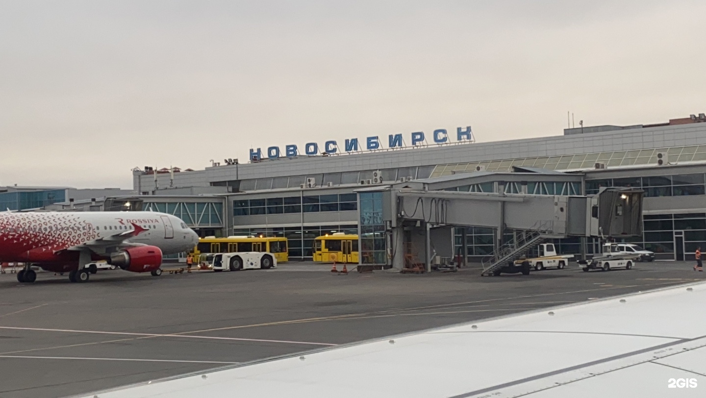 Такси новосибирск аэропорт толмачева. Толмачево переход в самолёт.