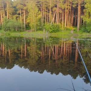 Фото от владельца Сосновый бор, парк культуры и отдыха