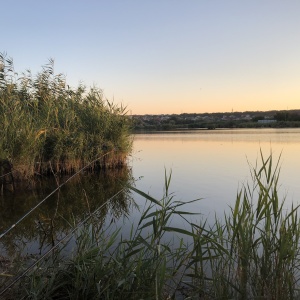 Фото от владельца Атланта, ООО, культурное рыбное хозяйство