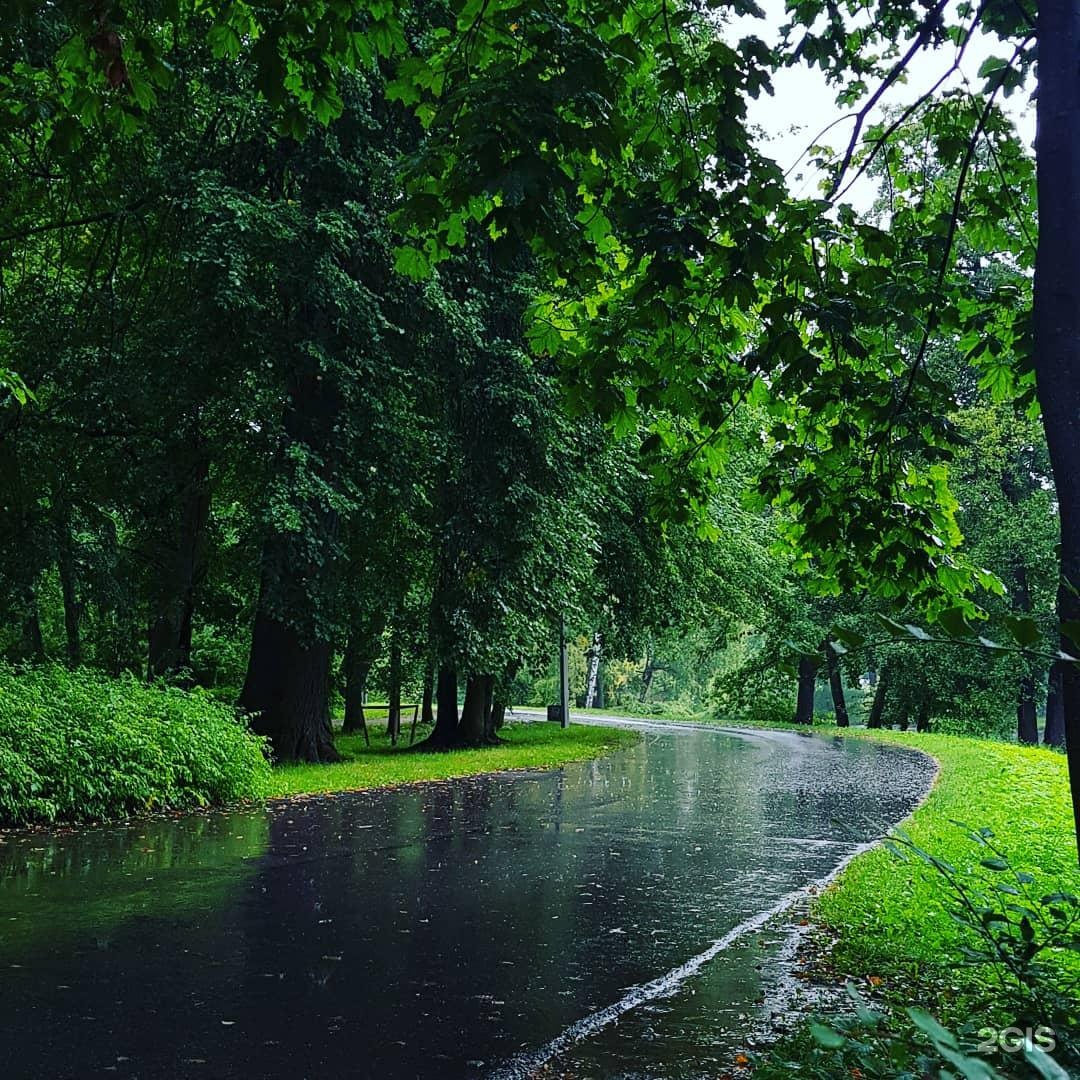 Парк имени Кирова Санкт-Петербург. ЦПКИО Кирова. Центральный парк культуры и отдыха им с м Кирова Санкт-Петербург. Парк культуры Кирова СПБ.