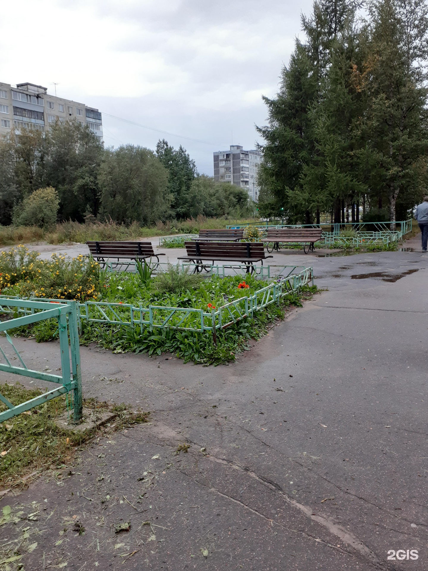 Технический колледж императора Петра 1 Архангельск. Воронина 34 Архангельск. Коледж пётр 1 в Архангельске фото.