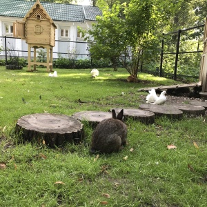 Фото от владельца Центральный парк культуры и отдыха им. С.М. Кирова