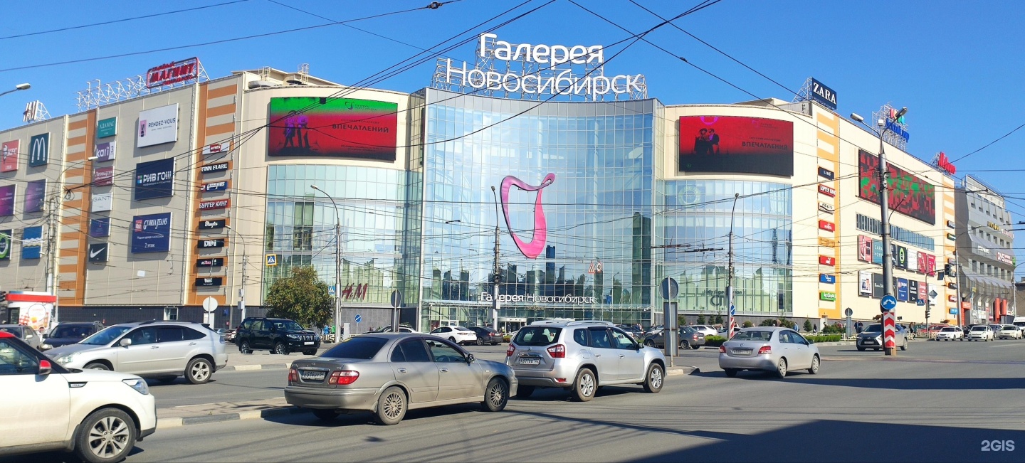 Новосибирск улица гоголя 13 к 54. Гоголя 13 Новосибирск. Галерея Новосибирск. Новосибирск улица Гоголя 13 галерея Новосибирск. ТЦ подсолнух Новосибирск.