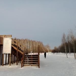Фото от владельца Центр зимних видов спорта, ТюмГУ