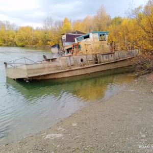 Фото от владельца Бугринская роща, парк культуры и отдыха