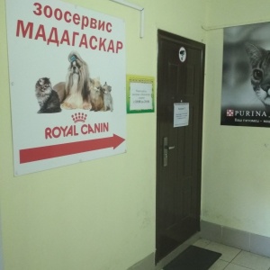 Фото от владельца Мадагаскар, ветеринарный центр-зоосервис