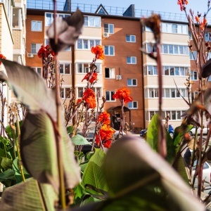 Фото от владельца Дарстрой-Юг, ООО, строящиеся объекты