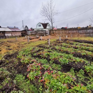 Фото от владельца Профиль, ООО, торгово-производственная компания