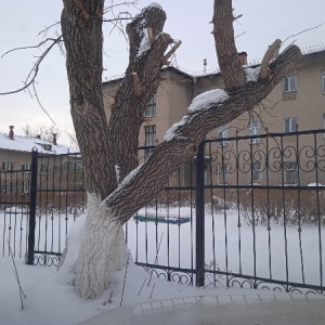 Фото от владельца Астера, многопрофильный медицинский центр