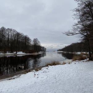 Фото от владельца Дубки, парк культуры и отдыха