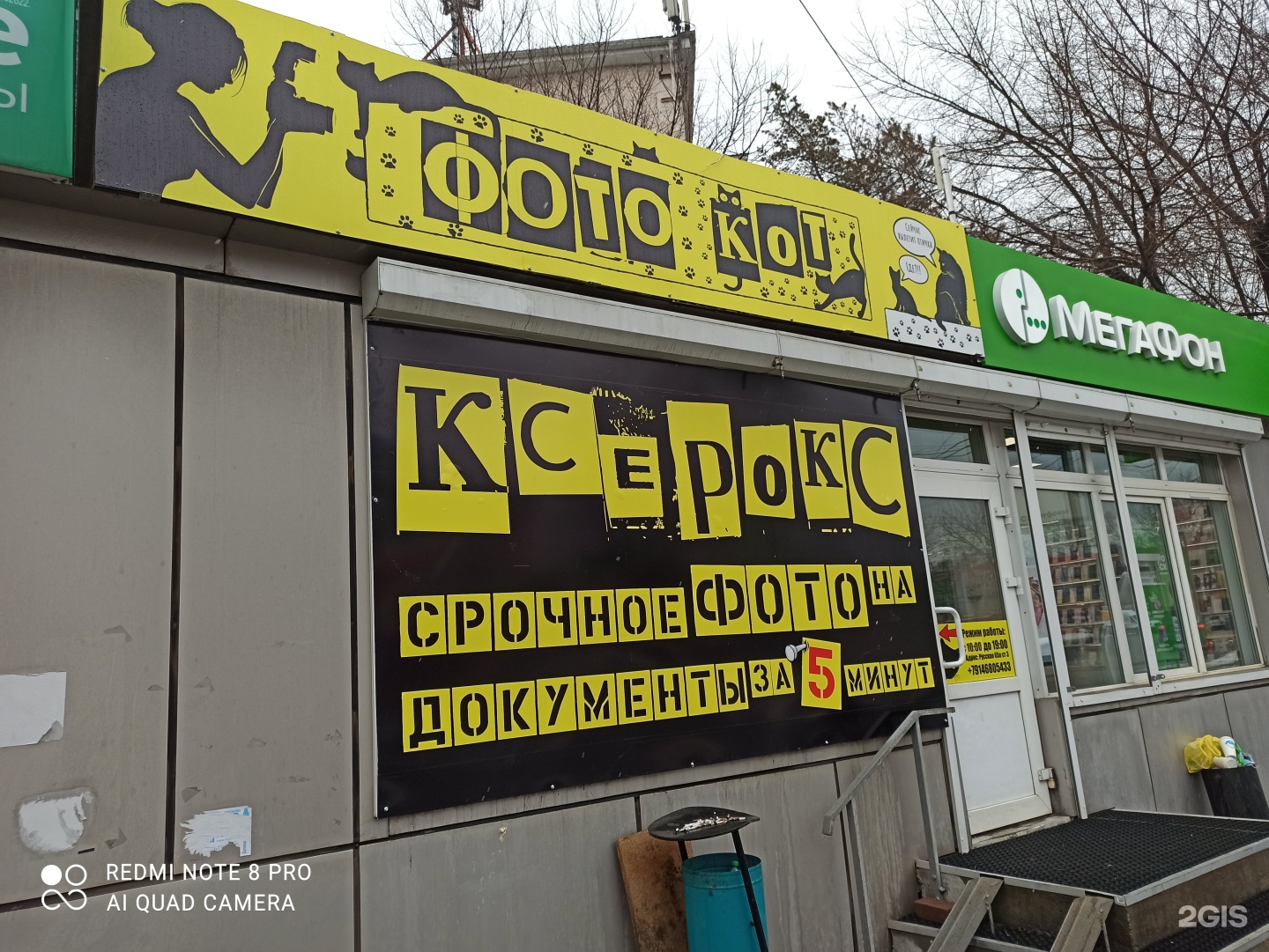 Black cat владивосток 44 года