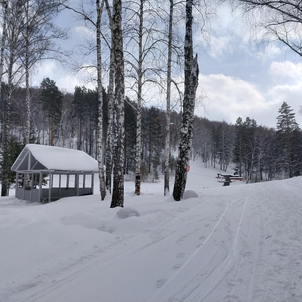 Республика лесная новокузнецк фото