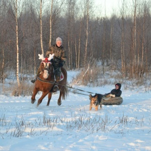 Фото от владельца Royal Horse, конный клуб