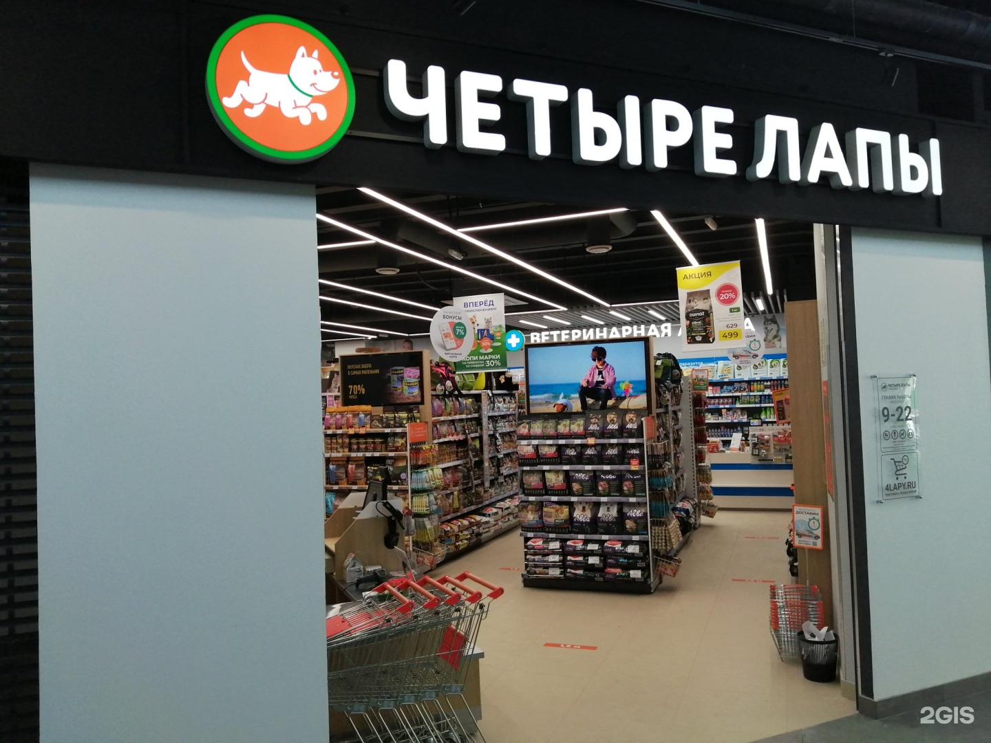Четыре Лапы Москва Новогиреево