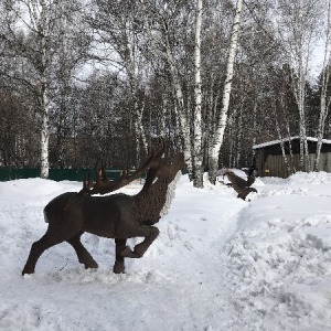 Фото от владельца Лесная сказка, санаторий