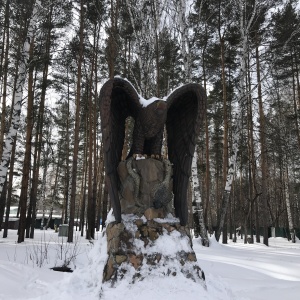 Фото от владельца Лесная сказка, санаторий