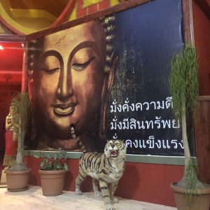 Фото от владельца Pattaya, SPA-салон