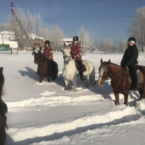 Фото от владельца Золотая подкова, конный клуб