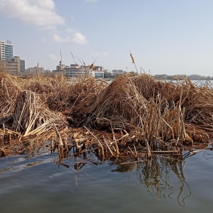 Фото от владельца Центр экскурсий и проката лодок и катамаранов