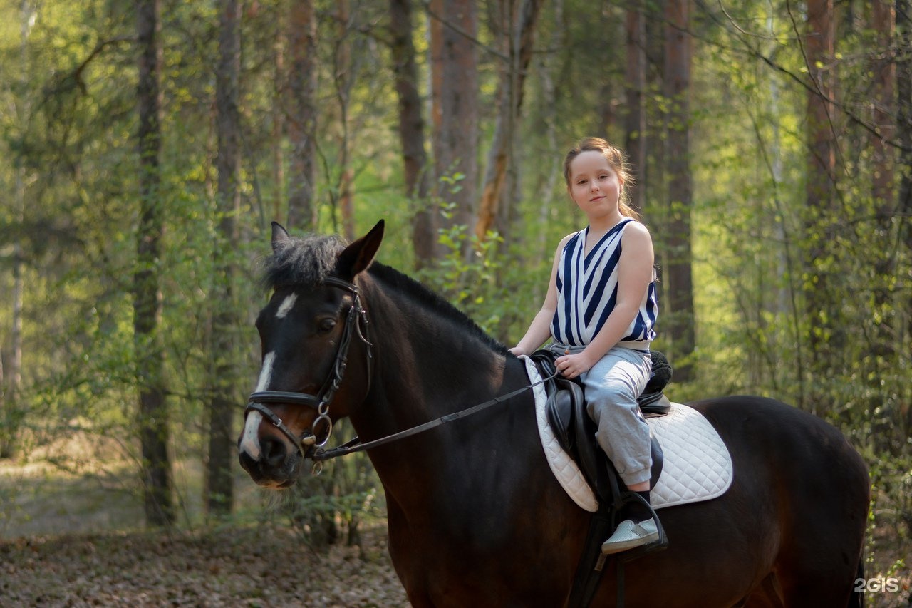 Horse екатеринбург. Ползунова 56 Екатеринбург конный клуб. Конный клуб Исток Екатеринбург. Конный клуб Вольный ветер Екатеринбург. Конная Екатеринбург поле.