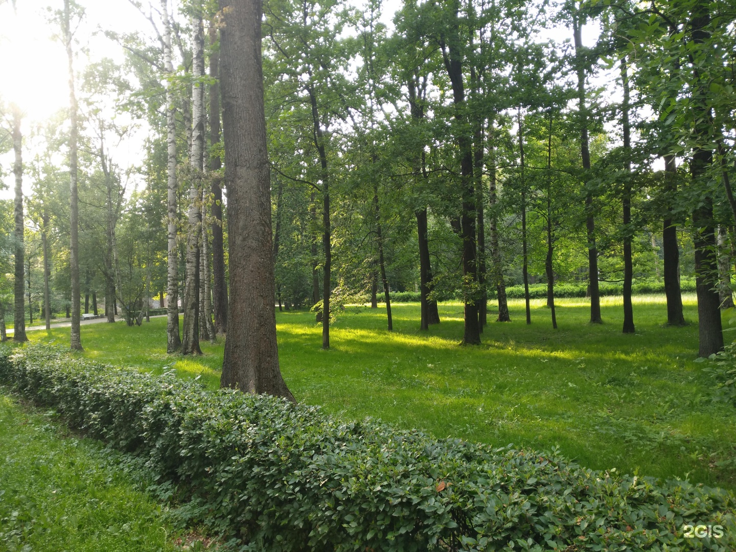 Green park санкт петербург. Удельный парк в Санкт-Петербурге. Удельный парк в Санкт-Петербурге фото. Удельный парк фото СПБ. Птицы удельного парка Санкт-Петербурга.