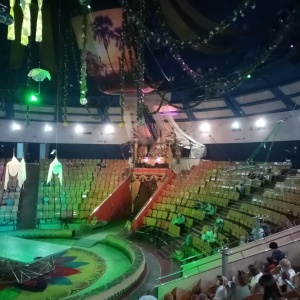 Фото от владельца Тюменский государственный цирк