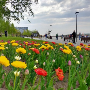 Фото от владельца Михайловская набережная, парк культуры и отдыха