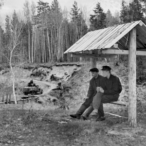 Фото от владельца Дубровинский лесхоз, ОАО, Мошковское лесничество