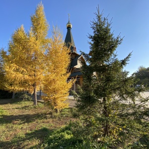 Фото от владельца Храм Святителя Алексия Московского