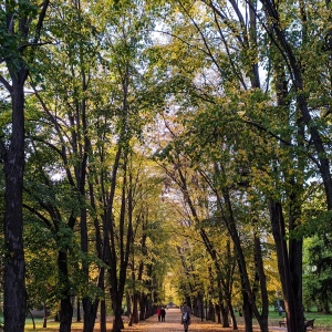 Фото от владельца Ботанический сад им. И.С. Косенко, КубГАУ