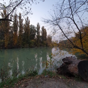 Фото от владельца Солнечный остров, парк культуры и отдыха